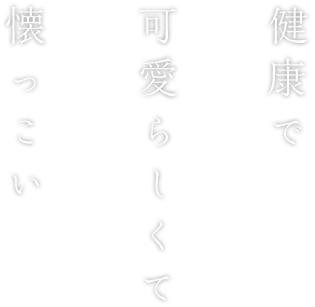 健康で懐っこくて可愛らしい